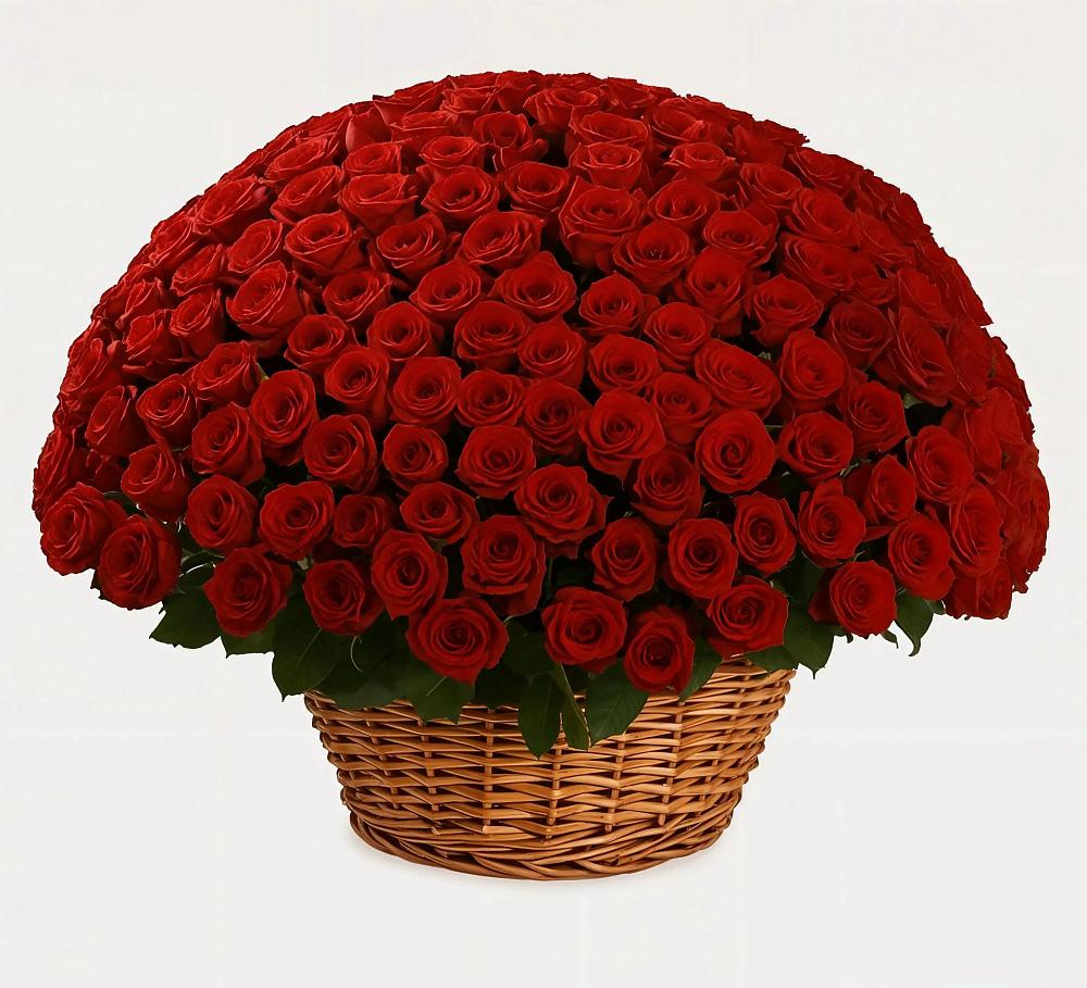 Премиум букет из: Розы в Верхоянске